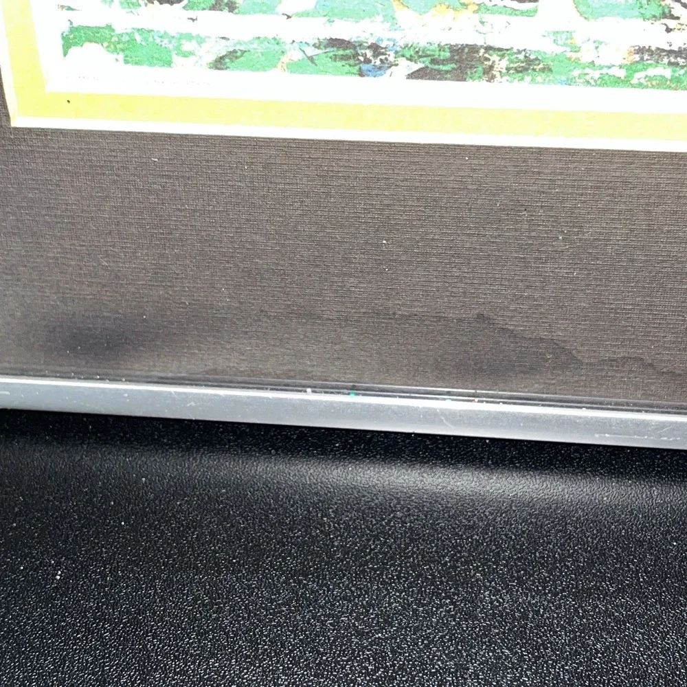 Pittsburgh Steelers Cincinnati Bengals Flushed From The Pocket Picture Frame